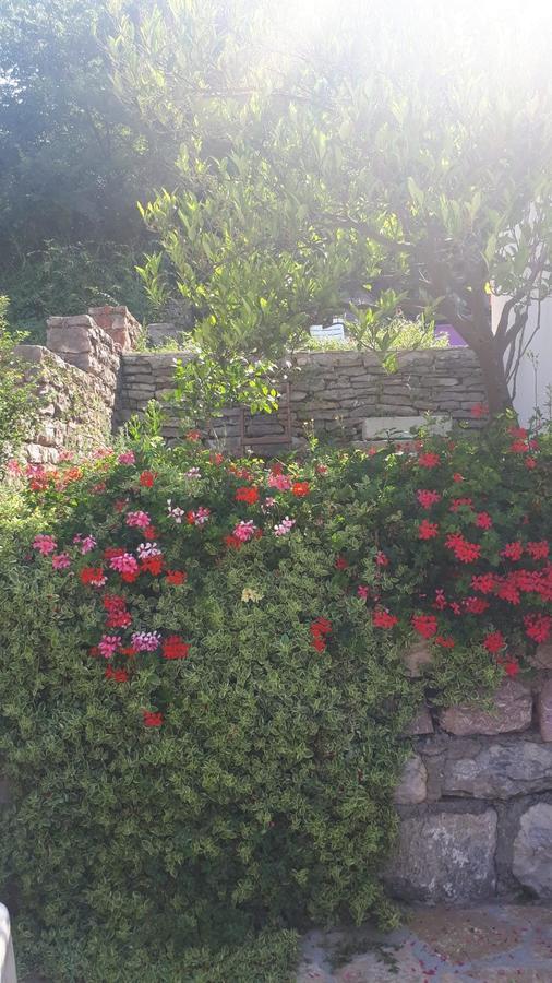 Vila Lucice Petrovac Bagian luar foto