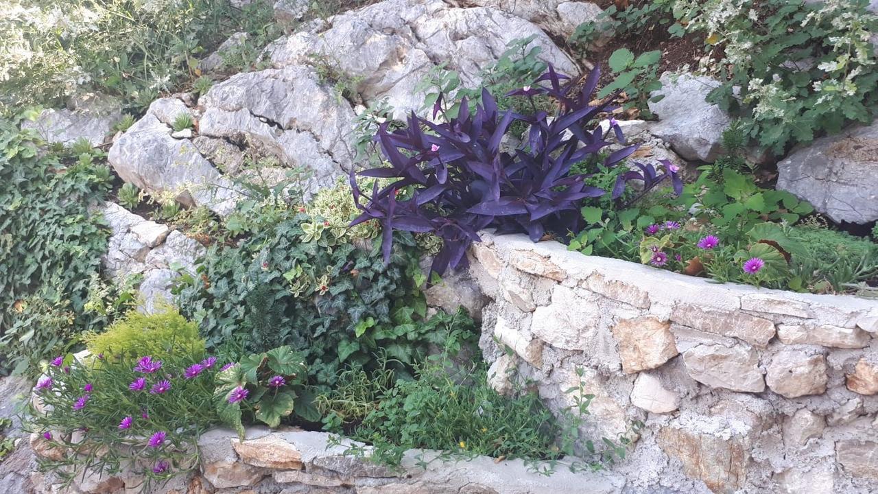 Vila Lucice Petrovac Bagian luar foto
